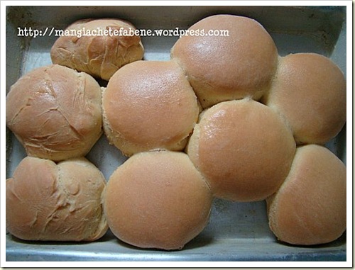 Breadmachine Biscuits blog