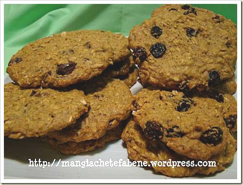Jumbo Oatmeal Cookies blog